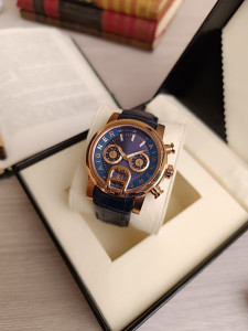 Aigner S666