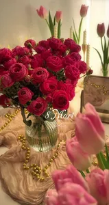 Aşbaz köməkcisi və yaxud xadimə