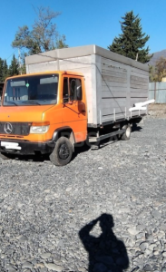 Mercedes Vario