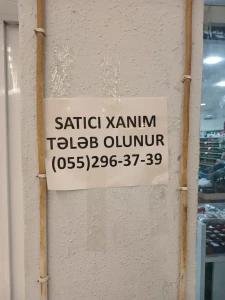 Satıcı xanım