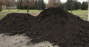 qara torpaq ve peyin