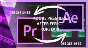 "Motion design After effects" proqrami kursu