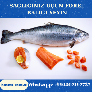 Forel balığı