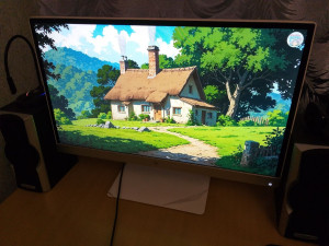 HP Pavilion 22xw 21.5 (J7Y67AA) 54 sm monitor