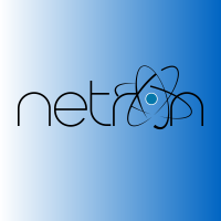 Netron Electronics